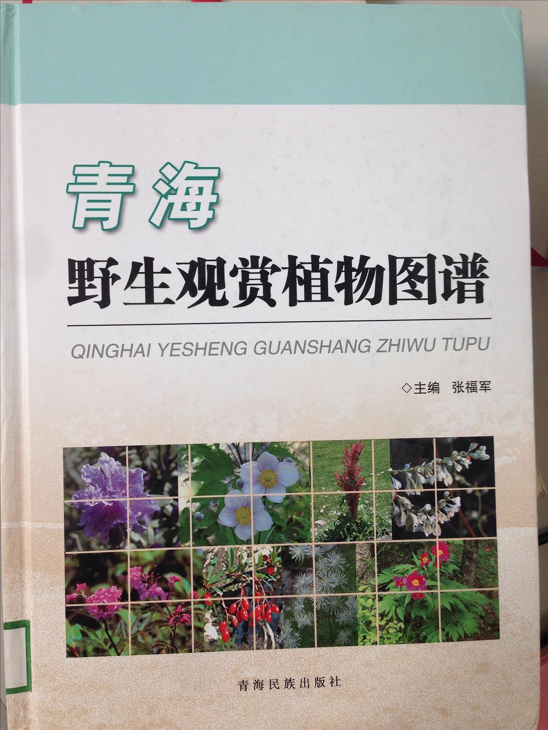s27402725.jpg s27402725.jpg