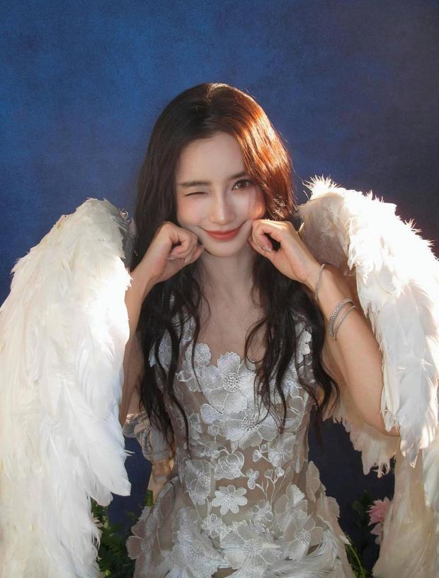 Angelababy�鶯�ɰ���