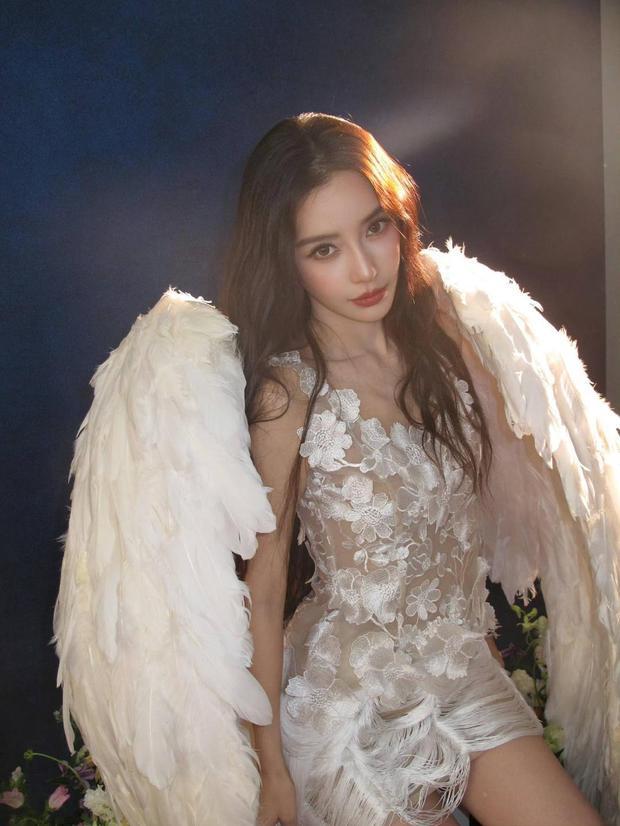 Angelababy���������