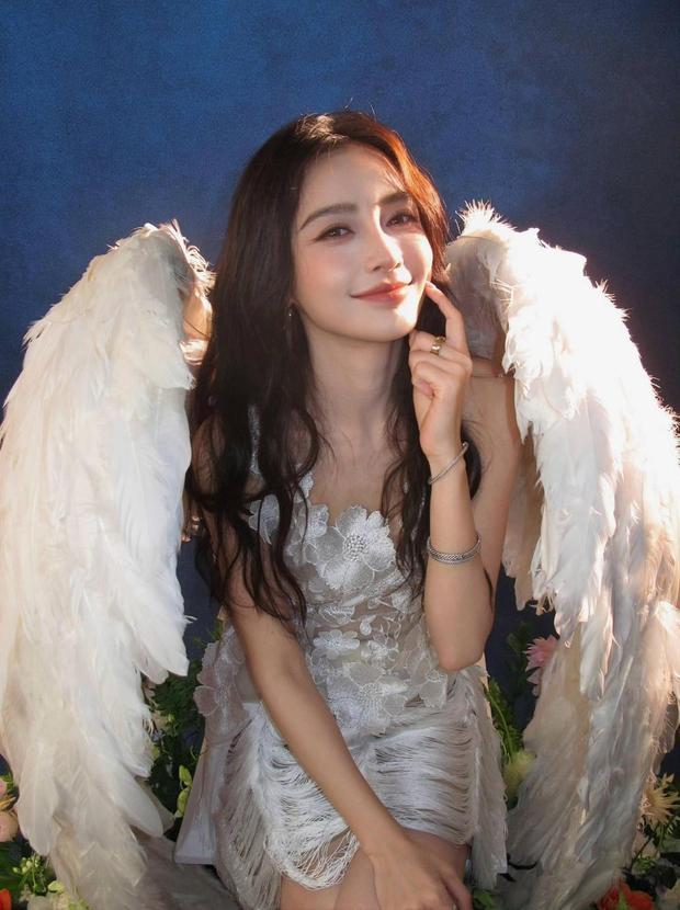 AngelababyЦ������